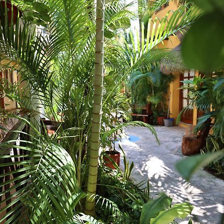 Hotel Bosque Caribe, 5Th Av. Zone Playa del Carmen Eksteriør bilde