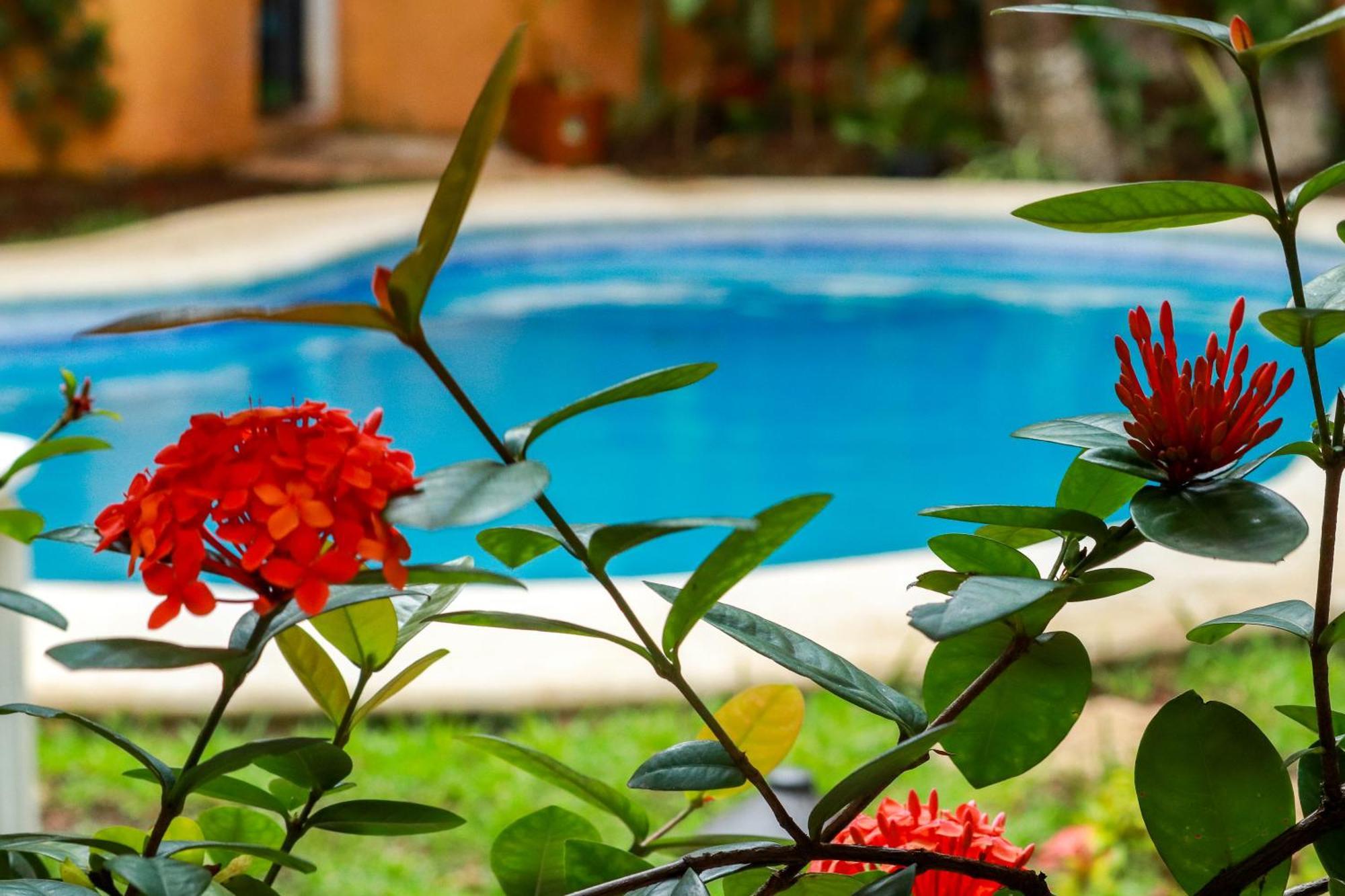 Hotel Bosque Caribe, 5Th Av. Zone Playa del Carmen Eksteriør bilde