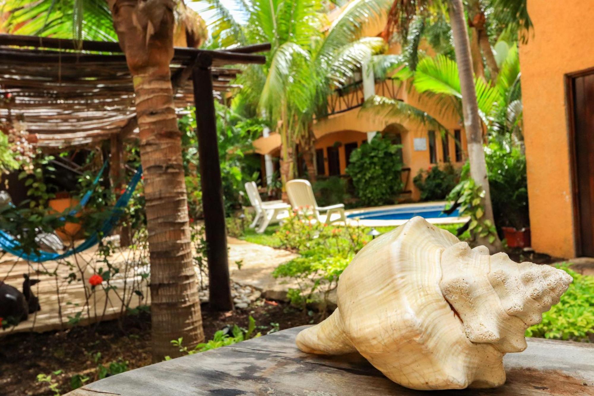 Hotel Bosque Caribe, 5Th Av. Zone Playa del Carmen Eksteriør bilde
