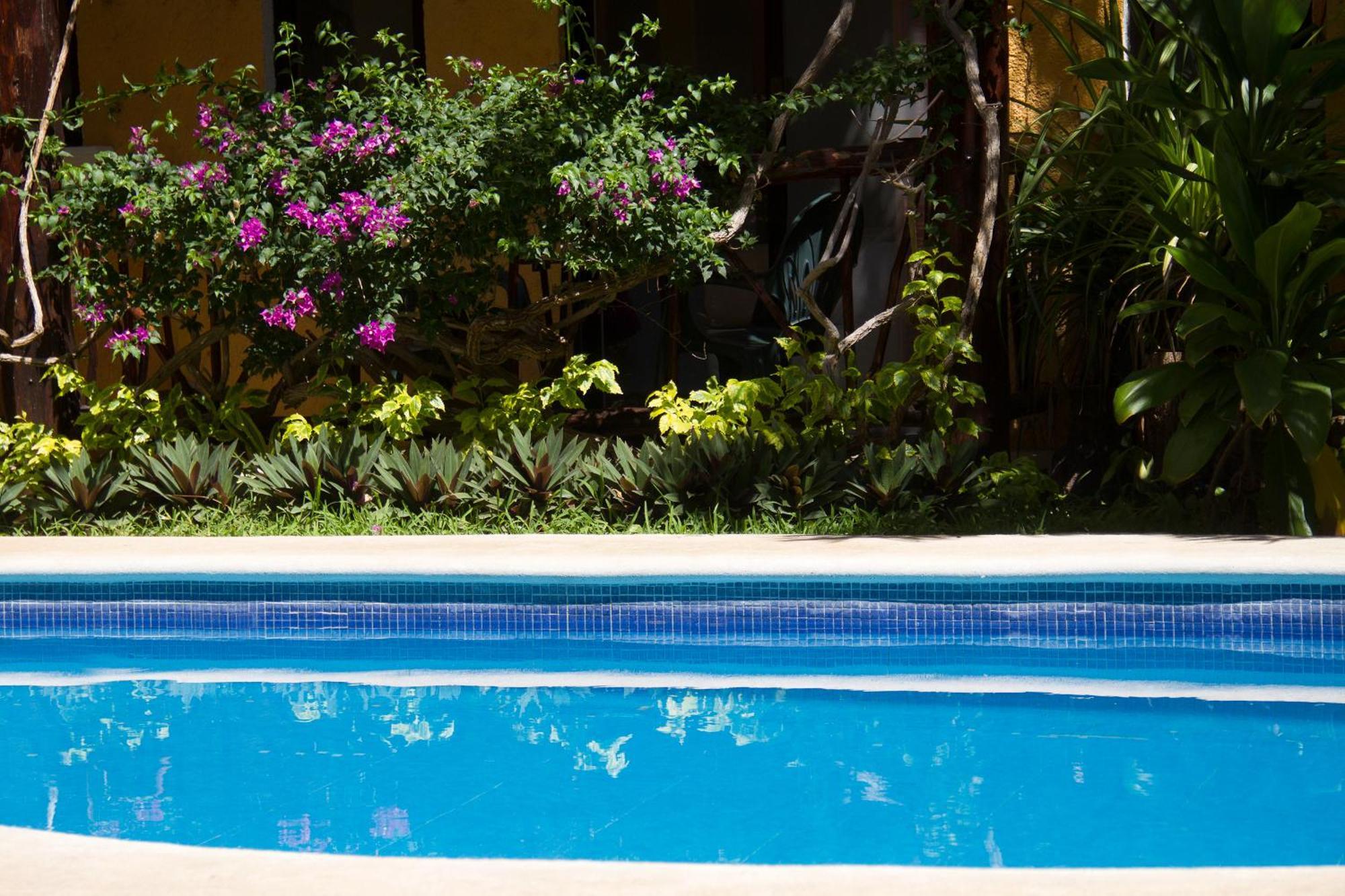 Hotel Bosque Caribe, 5Th Av. Zone Playa del Carmen Eksteriør bilde