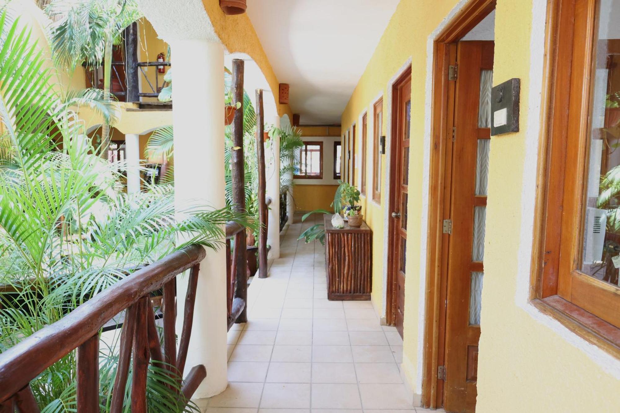 Hotel Bosque Caribe, 5Th Av. Zone Playa del Carmen Eksteriør bilde