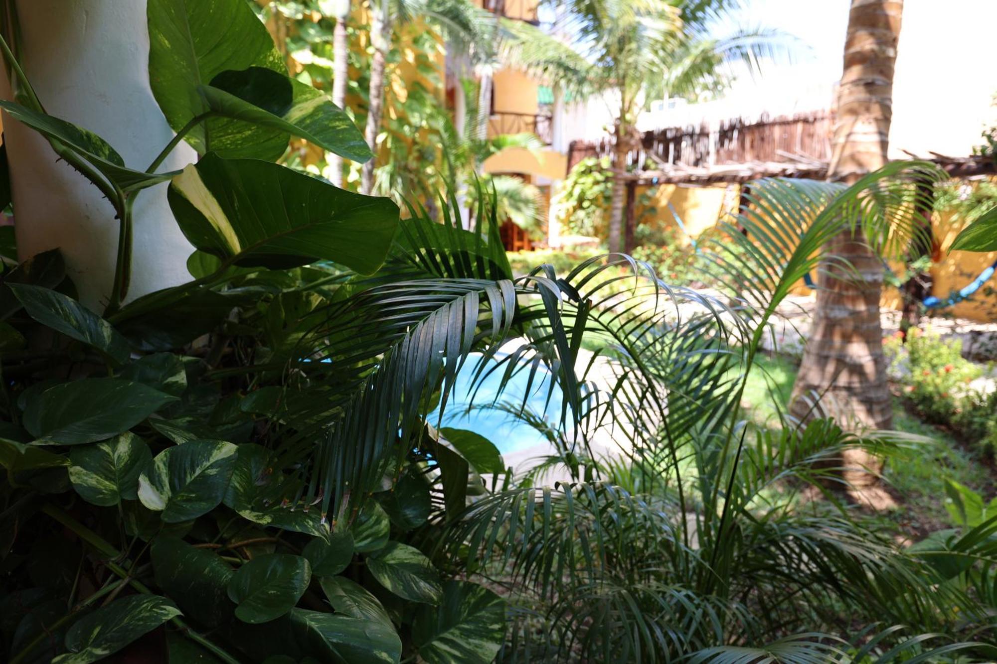 Hotel Bosque Caribe, 5Th Av. Zone Playa del Carmen Eksteriør bilde