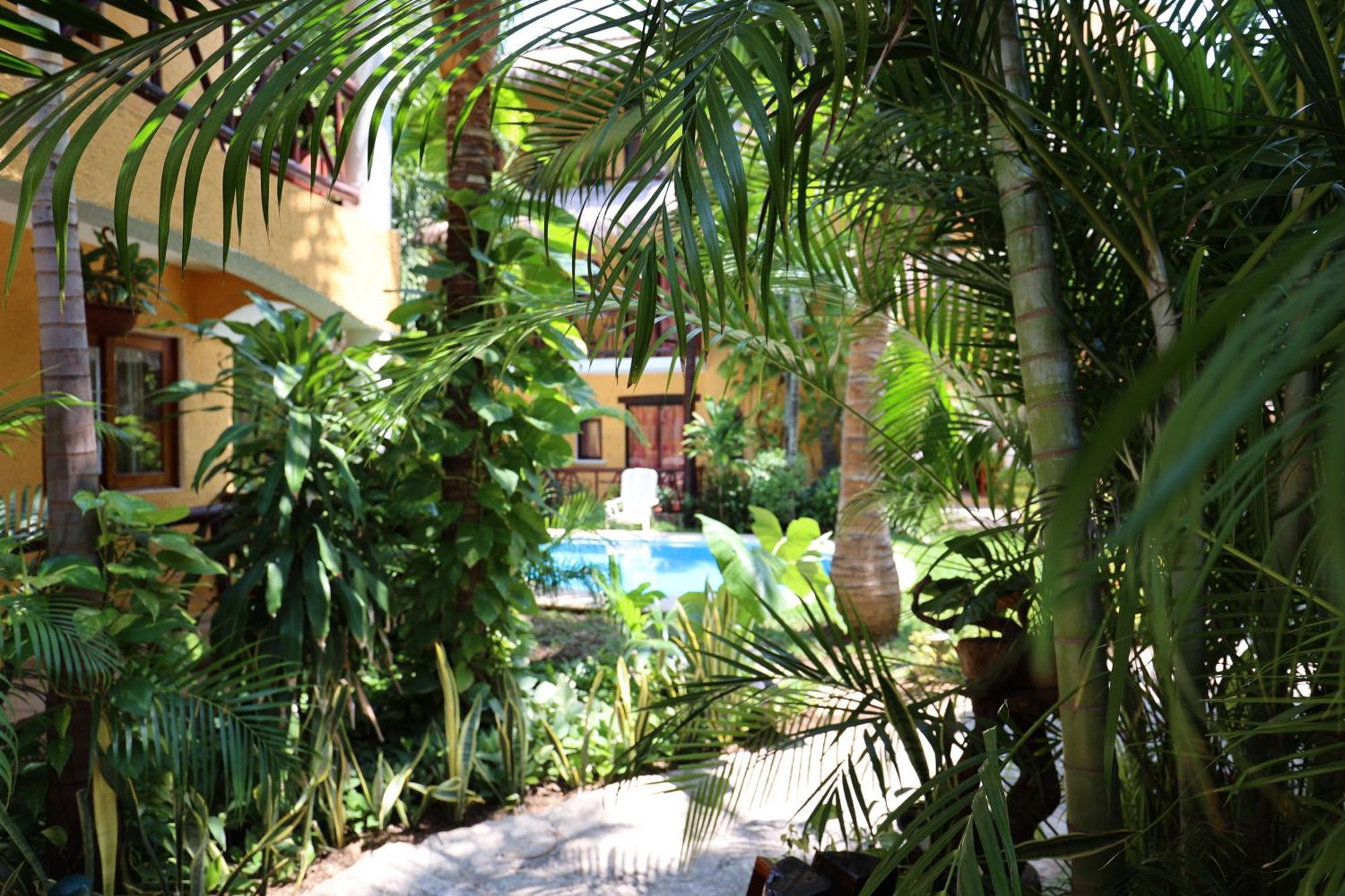 Hotel Bosque Caribe, 5Th Av. Zone Playa del Carmen Eksteriør bilde