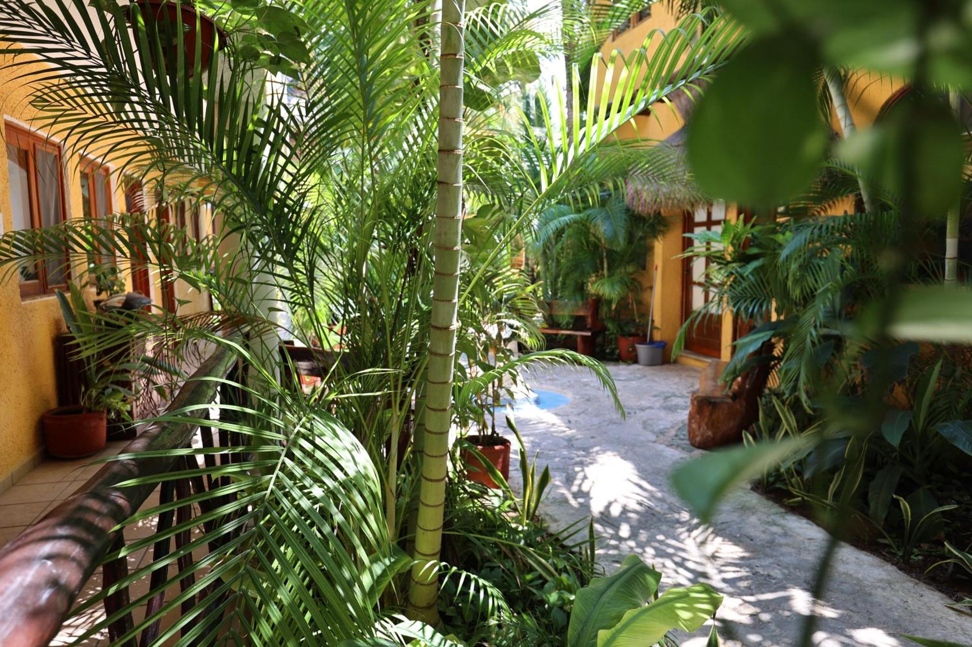Hotel Bosque Caribe, 5Th Av. Zone Playa del Carmen Eksteriør bilde