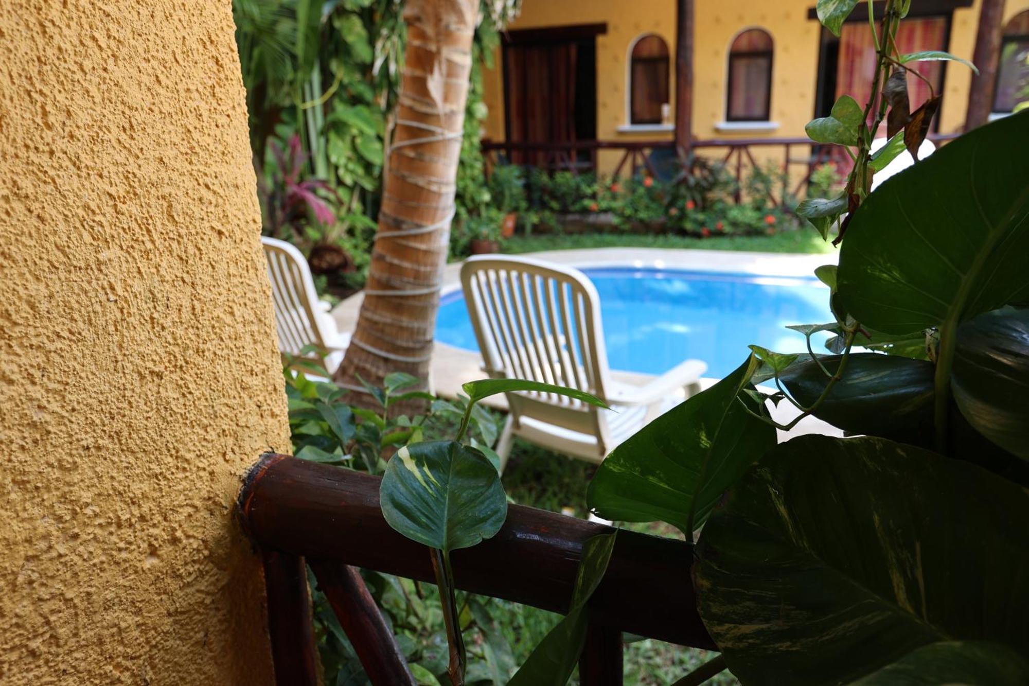 Hotel Bosque Caribe, 5Th Av. Zone Playa del Carmen Eksteriør bilde