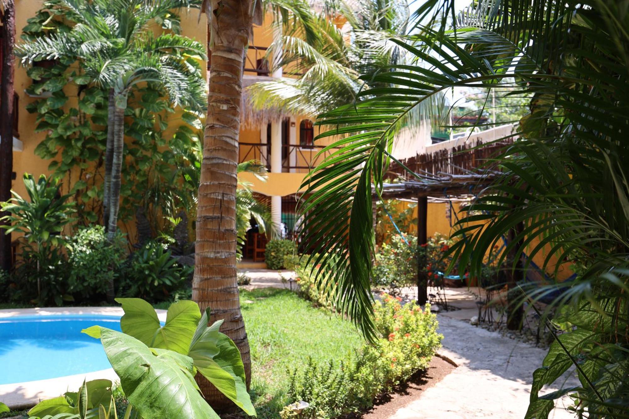 Hotel Bosque Caribe, 5Th Av. Zone Playa del Carmen Eksteriør bilde