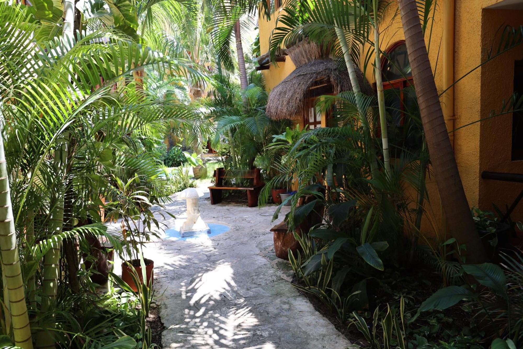 Hotel Bosque Caribe, 5Th Av. Zone Playa del Carmen Eksteriør bilde