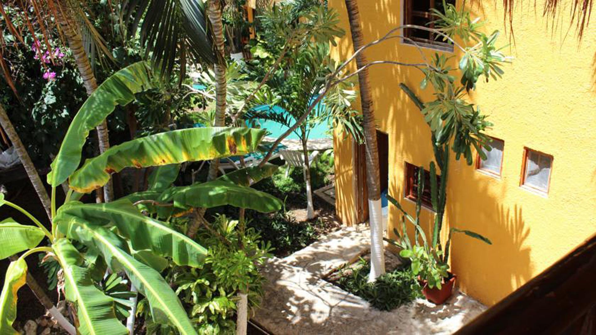 Hotel Bosque Caribe, 5Th Av. Zone Playa del Carmen Eksteriør bilde